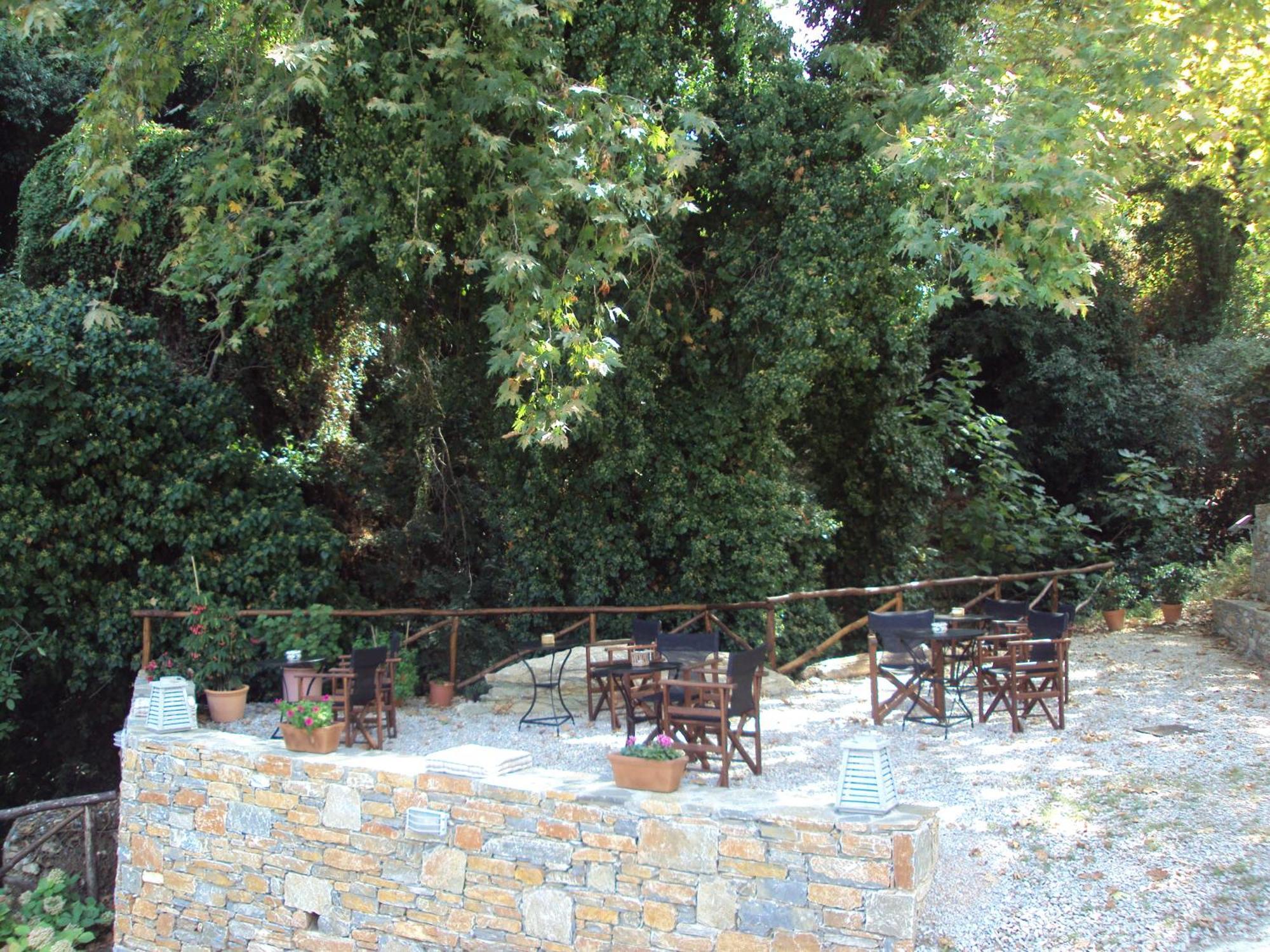 Vergopoulos Oliveyard Mourésion Buitenkant foto